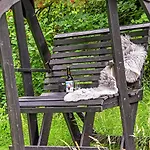Hébergement de vacances C11252-hemmet-anevej-7 *