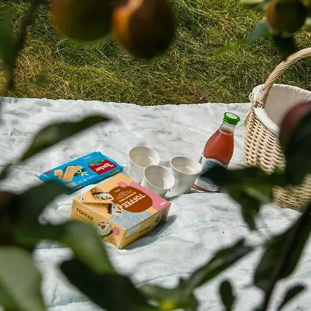 度假居 C11252-hemmet-anevej-7